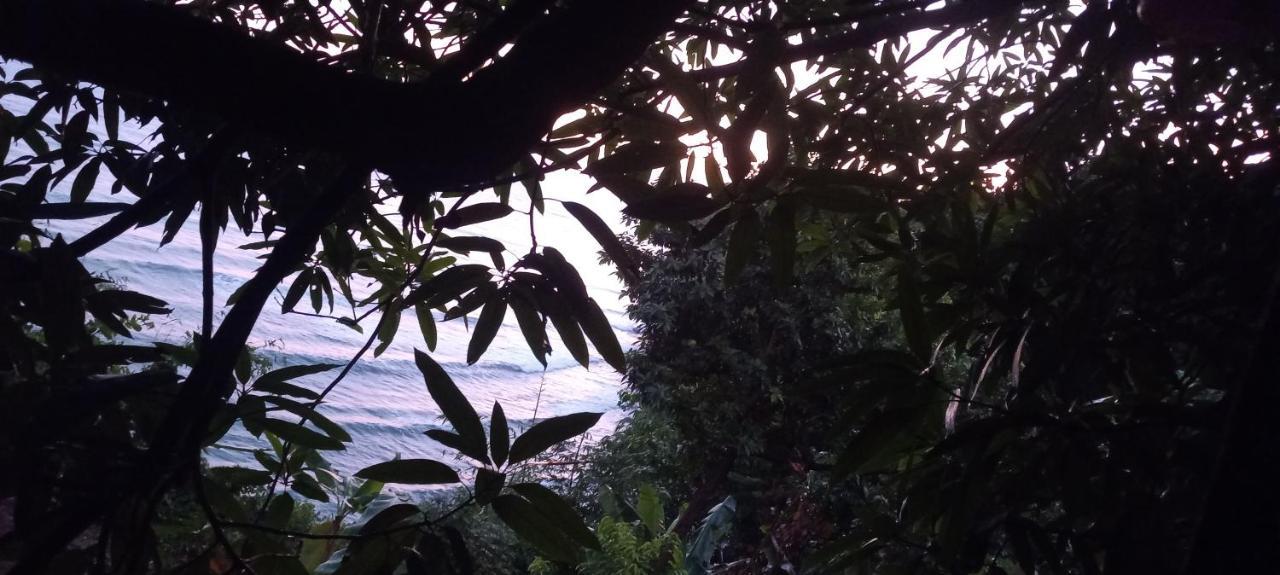 פורט אנטוניו Treehouse Above The Beach מראה חיצוני תמונה