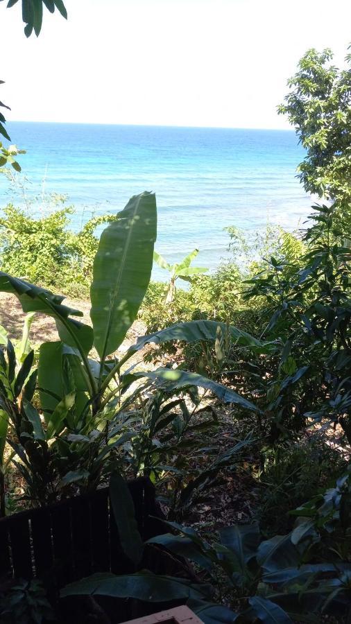 פורט אנטוניו Treehouse Above The Beach מראה חיצוני תמונה