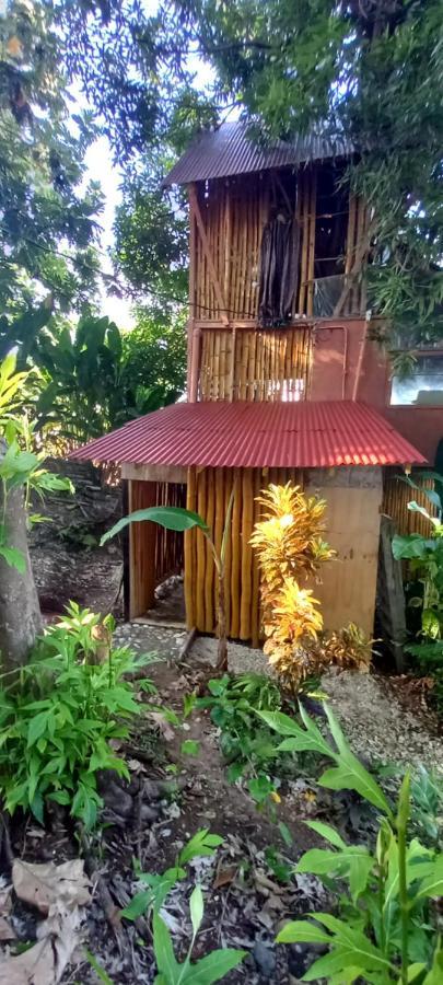 פורט אנטוניו Treehouse Above The Beach מראה חיצוני תמונה