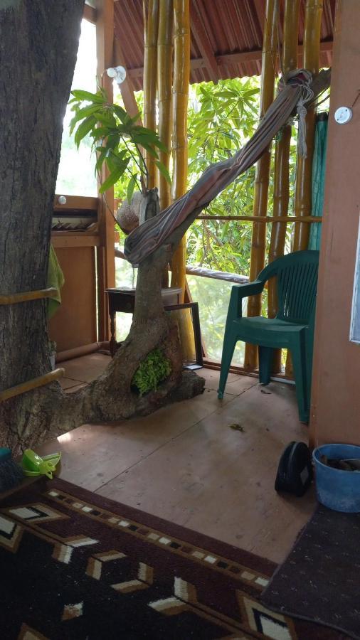 פורט אנטוניו Treehouse Above The Beach מראה חיצוני תמונה