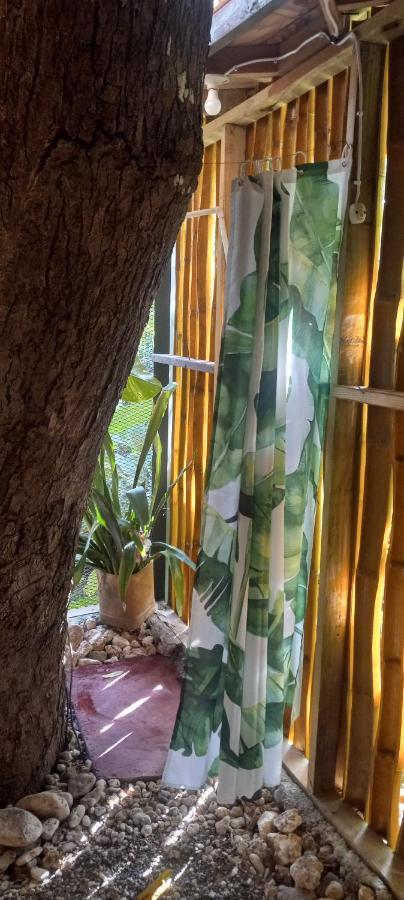 פורט אנטוניו Treehouse Above The Beach מראה חיצוני תמונה