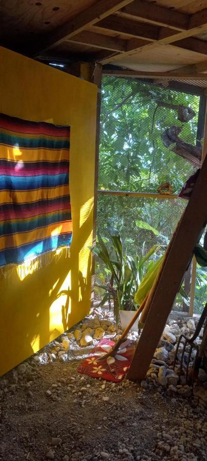 פורט אנטוניו Treehouse Above The Beach מראה חיצוני תמונה