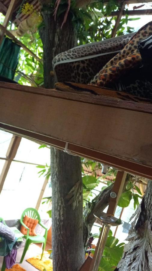 פורט אנטוניו Treehouse Above The Beach מראה חיצוני תמונה