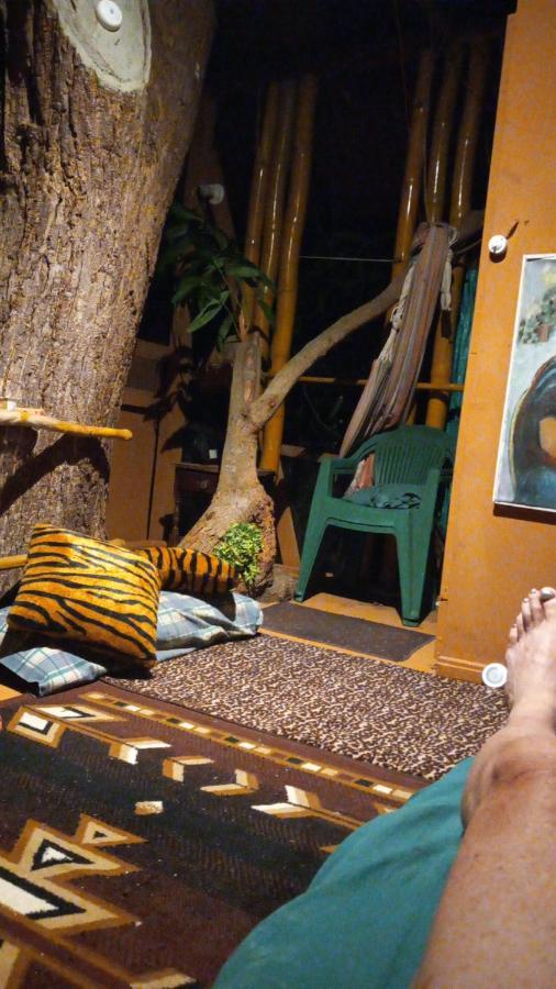פורט אנטוניו Treehouse Above The Beach מראה חיצוני תמונה