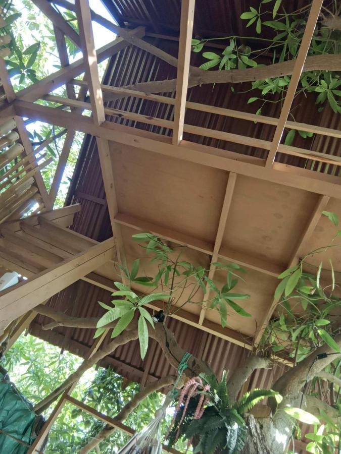 פורט אנטוניו Treehouse Above The Beach מראה חיצוני תמונה