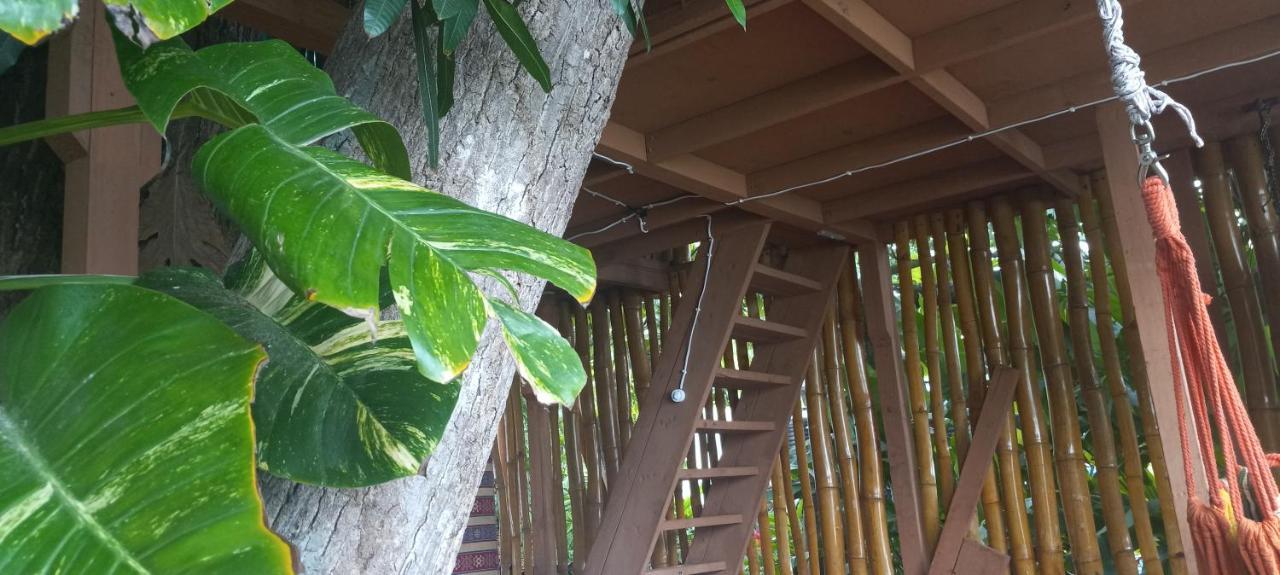 פורט אנטוניו Treehouse Above The Beach מראה חיצוני תמונה
