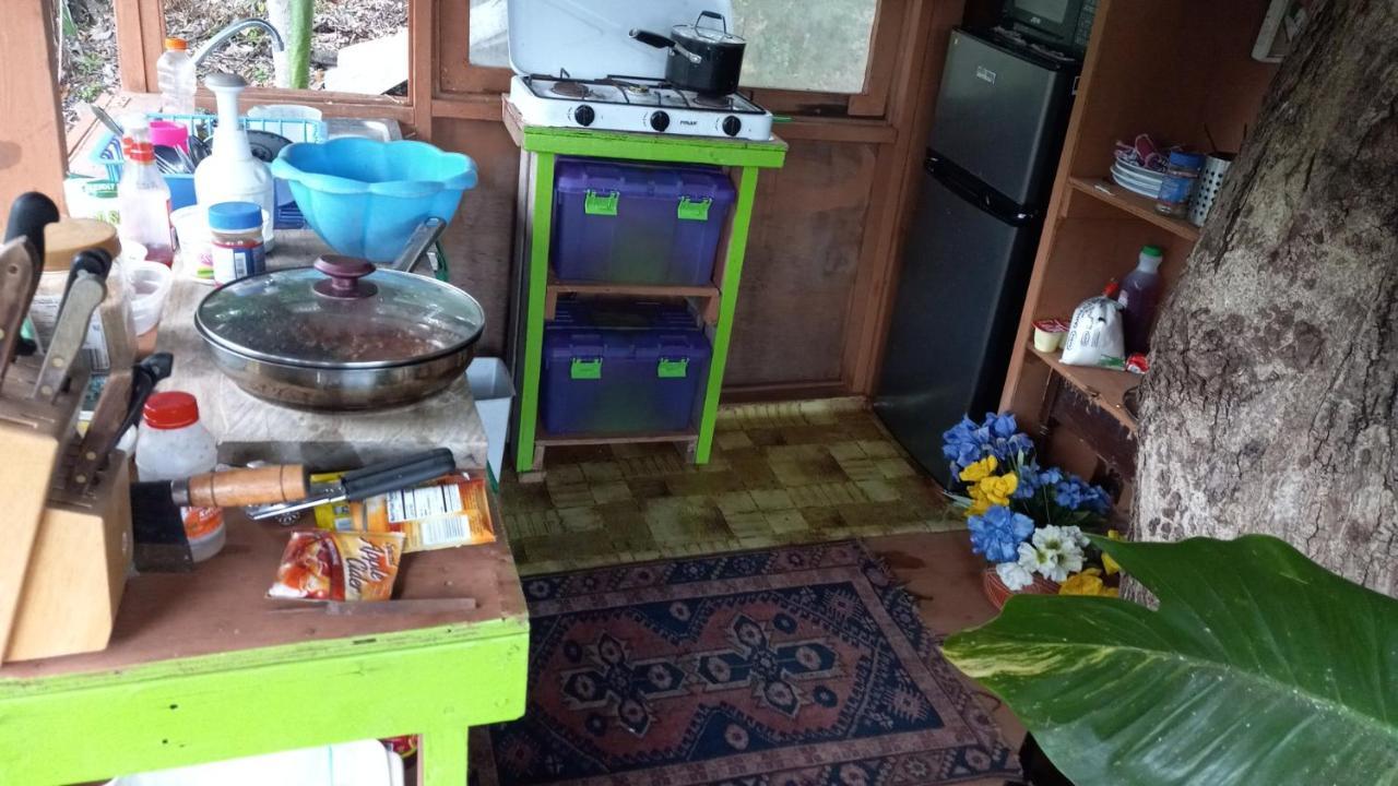 פורט אנטוניו Treehouse Above The Beach מראה חיצוני תמונה