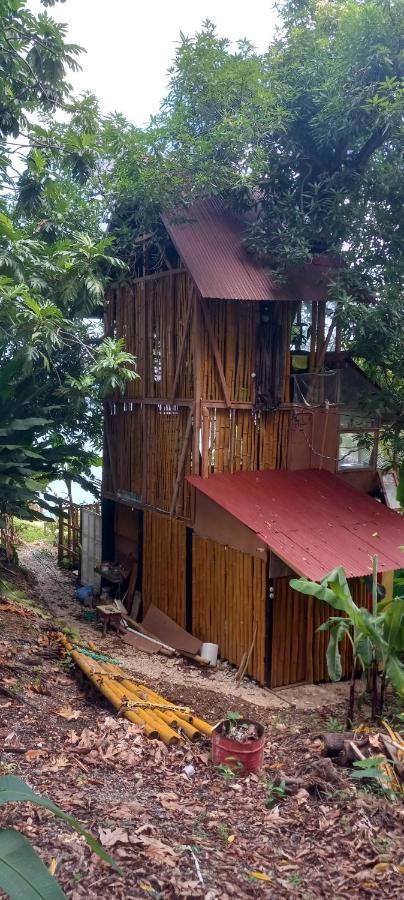 פורט אנטוניו Treehouse Above The Beach מראה חיצוני תמונה