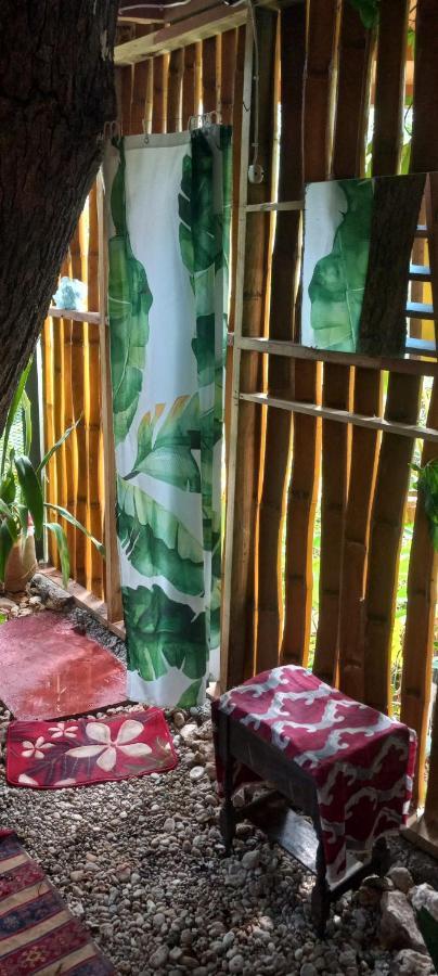 פורט אנטוניו Treehouse Above The Beach מראה חיצוני תמונה