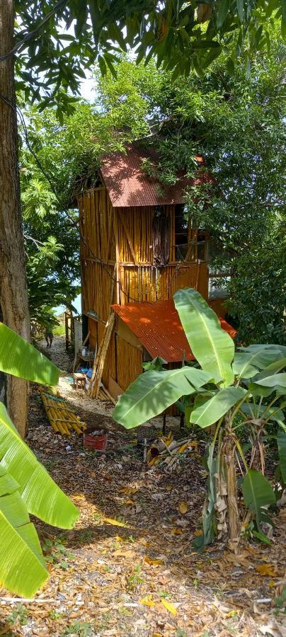 פורט אנטוניו Treehouse Above The Beach מראה חיצוני תמונה