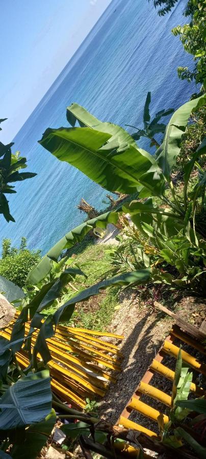 פורט אנטוניו Treehouse Above The Beach מראה חיצוני תמונה