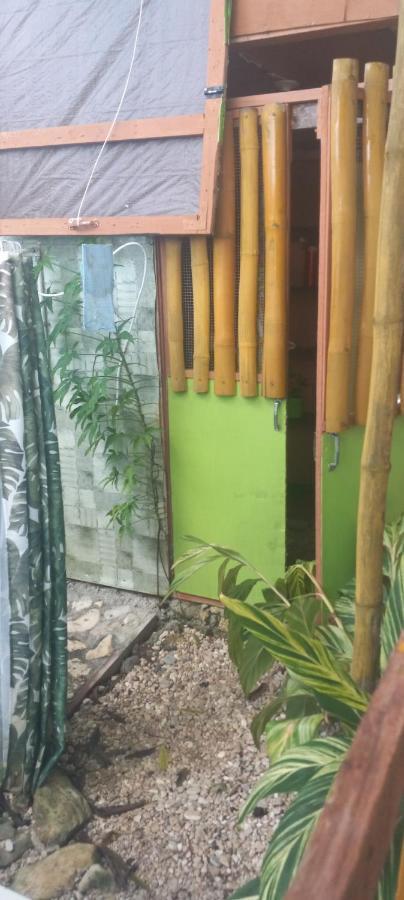 פורט אנטוניו Treehouse Above The Beach מראה חיצוני תמונה