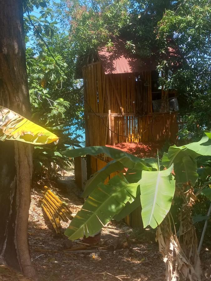 פורט אנטוניו Treehouse Above The Beach מראה חיצוני תמונה