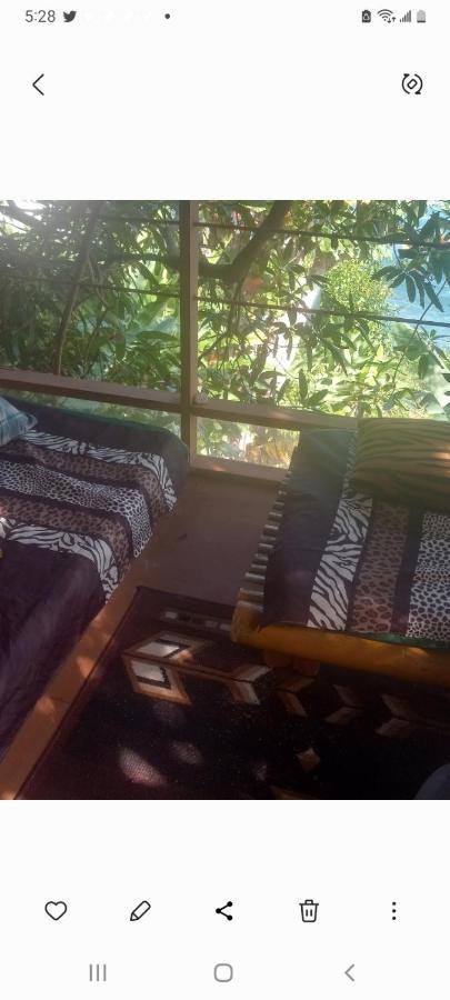 פורט אנטוניו Treehouse Above The Beach מראה חיצוני תמונה