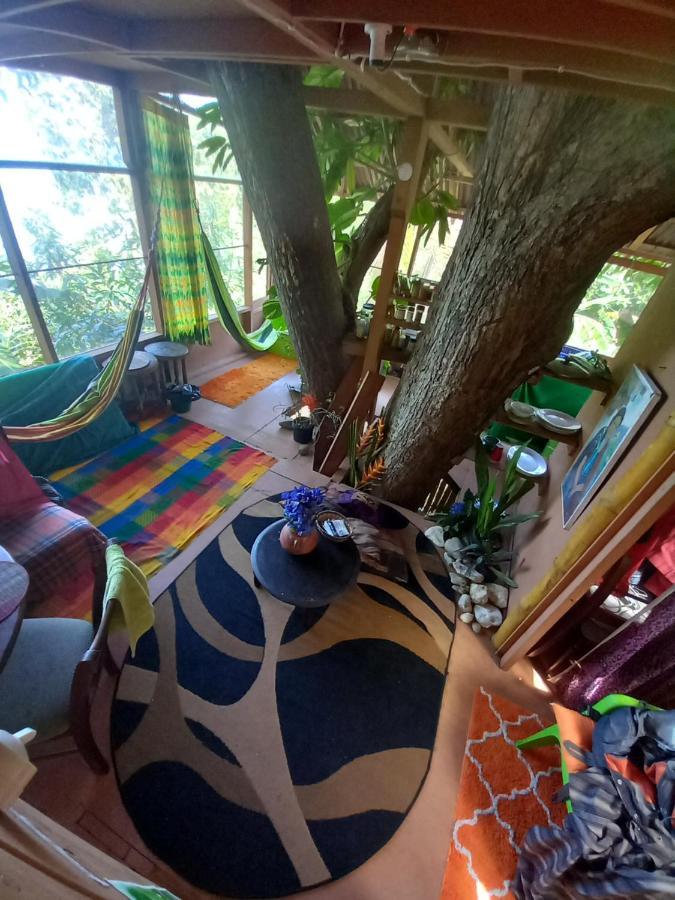 פורט אנטוניו Treehouse Above The Beach מראה חיצוני תמונה