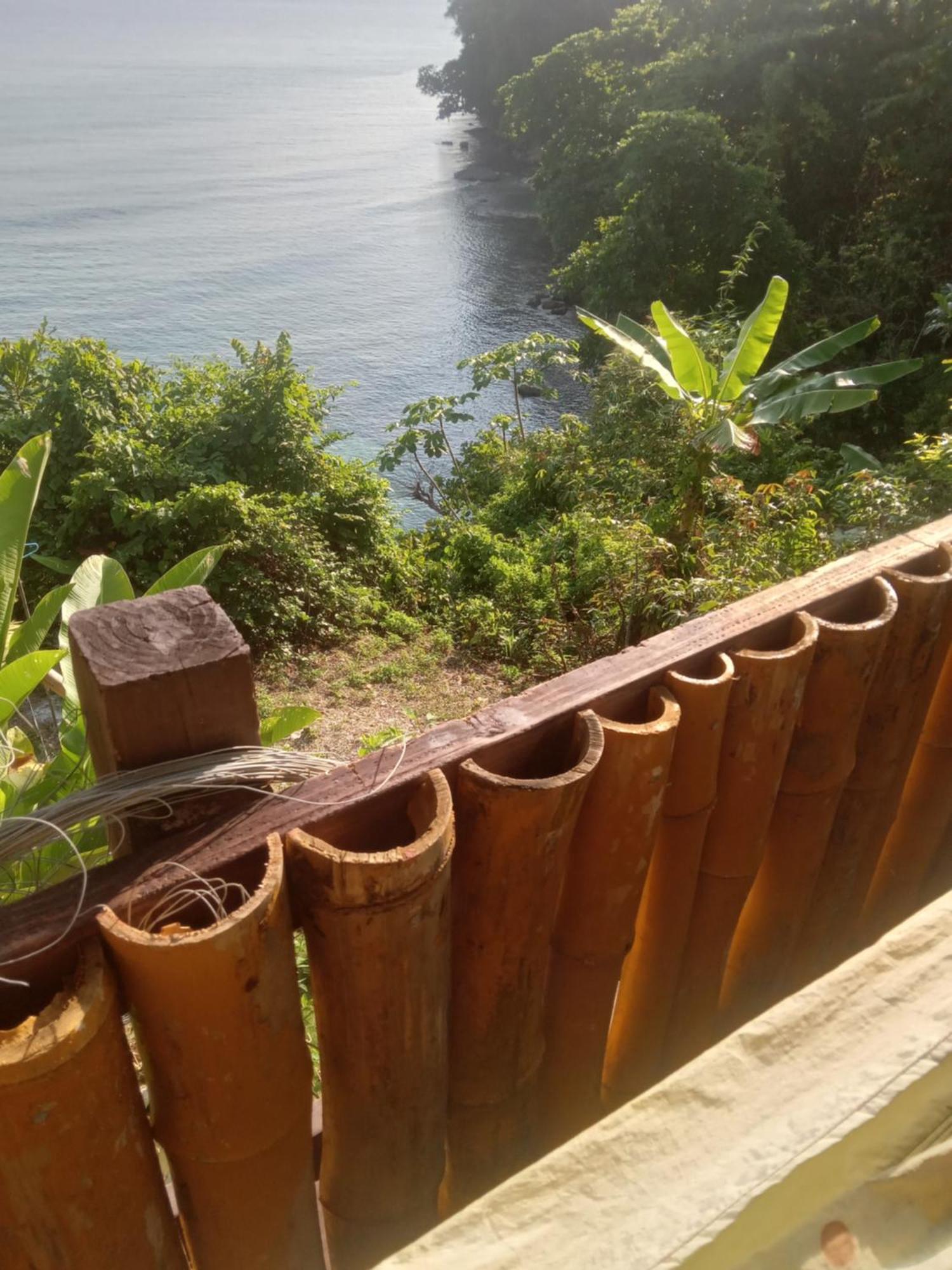 פורט אנטוניו Treehouse Above The Beach מראה חיצוני תמונה