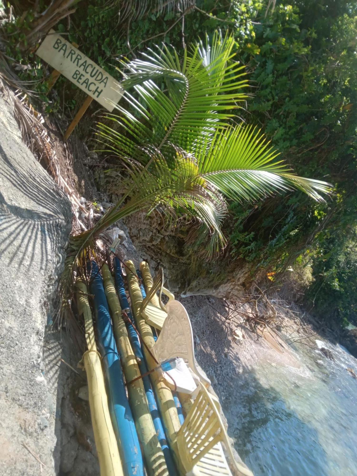 פורט אנטוניו Treehouse Above The Beach מראה חיצוני תמונה